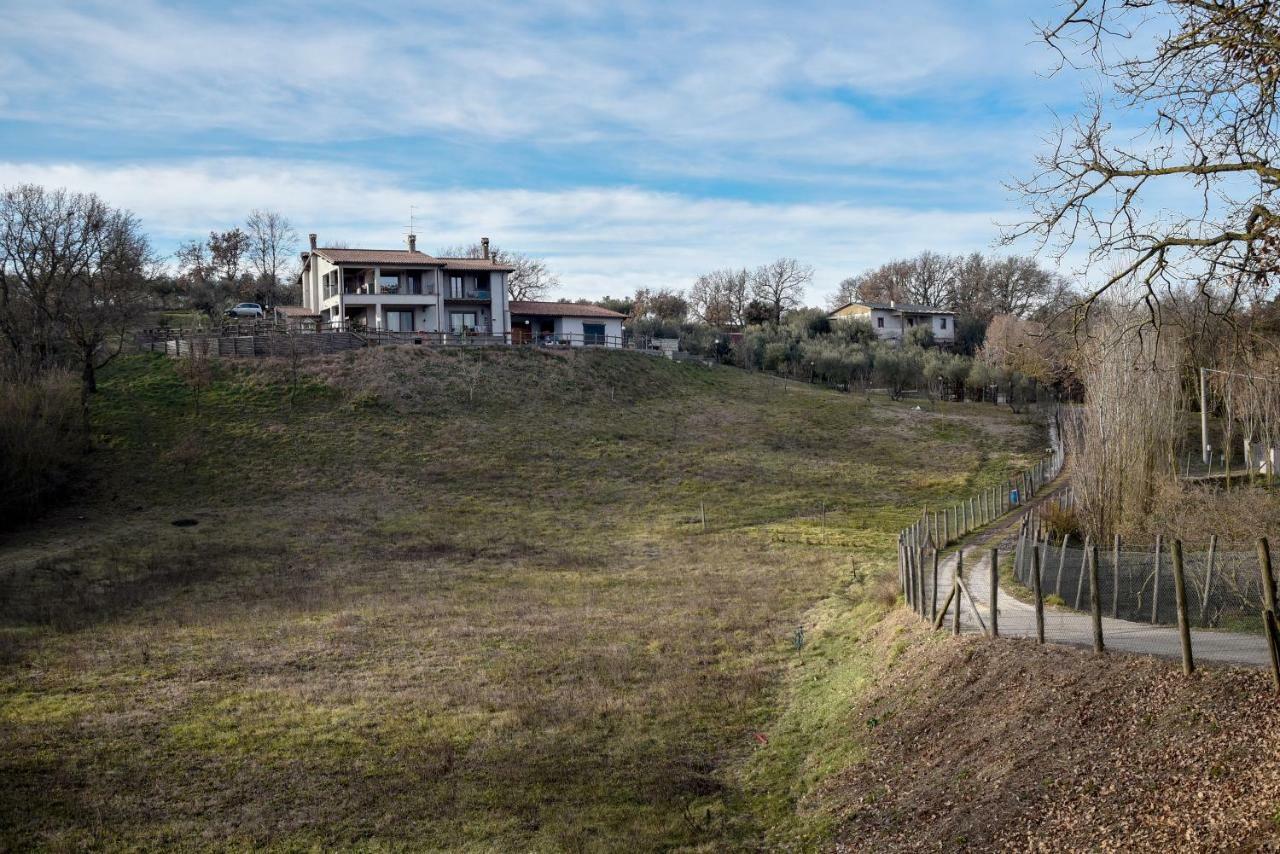 ויטורקיאנו Villa Farfalla Bianca מראה חיצוני תמונה